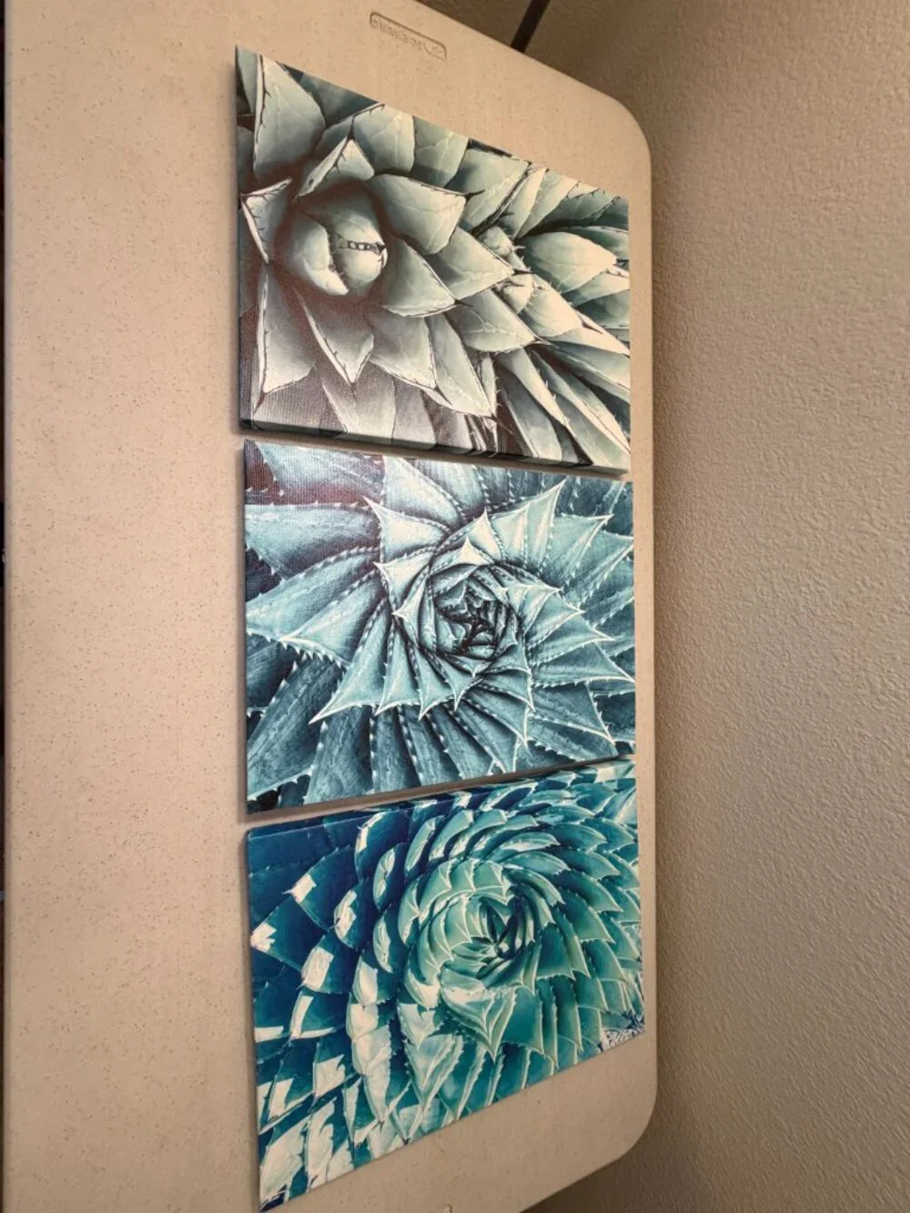 3-Piece Agave Botanical Succulent Wrapped Canvas Wall Art Set